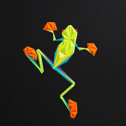 Frog Friend-Black Painting