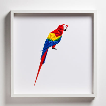 Scarlet Macaw Painting